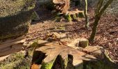 Tocht Stappen La Roche-en-Ardenne - Un petit tour dans les fagnes de la goutte en partant de Samree  - Photo 10