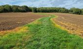 Randonnée Marche Chauffour-lès-Étréchy - Chauffour-lès-Etréchy Coteau des Verts Galants - Photo 5