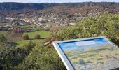 Excursión Senderismo Artignosc-sur-Verdon - Boucle du verdon - Photo 8