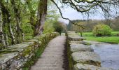 Randonnée Marche Vresse-sur-Semois - Vresse via Mouzaive 020523 - Photo 19