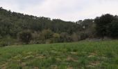 Tour Wandern Barjols - ste madeleine  - Photo 14