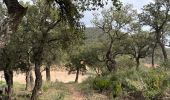 Excursión Senderismo La Londe-les-Maures - Dolmen de Gautabry par le vallon de Tamary - Photo 12