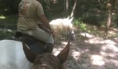 Trail Horseback riding Belhade - Belhade - Belin Béliet - Photo 4