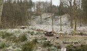 Excursión Senderismo Couvin - Brûlures de peches  - Photo 3