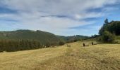 Tour Wandern Vianden - vianden  .  bivels  .  vianden - Photo 17