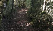 Tocht Stappen La Couvertoirade - Jour 3 - Larzac - La Couvertoirade - Cornus - Photo 9