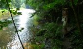 Tour Wandern Hohenfels - GrWandARd 36: Grande-Mormont het fraaiste van de Oostelijke Ourthe - Photo 2