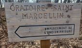 Trail Walking La Saulce - LA SAULCE . BOUCLE DE SERRE SOLEILLE O M - Photo 10