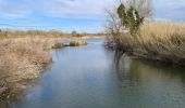 Tour Wandern Fréjus - étangs de Villepey - Photo 8