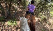 Trail Horseback riding Lauris - Provence 2025 J1 - Photo 15