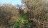Trail Walking Plomodiern - PLOMODIERN - Photo 2