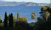 Excursión Senderismo Cassis - Pas de la Colle - Falaises Soubeyranes - Sémaphore du Bec de l'Aigle - Anse de Figuerolles - Parc Mugel - La Ciotat - Photo 4