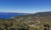 Excursión Senderismo Le Lavandou - les hauts de cavalière - Photo 1