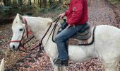 Trail Horseback riding Neuviller-lès-Badonviller - Ar direction angomont  - Photo 2