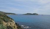 Tour Wandern La Croix-Valmer - Boucle en partant de la plage de Gigaro - Photo 14