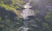 Randonnée Marche Le Prêcheur - Cascade de l'anse Couleuvre, depuis anse Céron en aller-retour ! - Photo 14