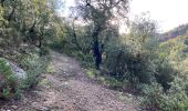 Trail Walking Pignans - Sainte Marie des Anges 15,8 km - Photo 19