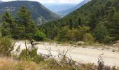 Excursión Bici de montaña Thorame-Basse - Col de Seoune Lambruisse - Photo 11