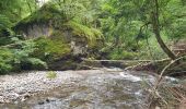 Tocht Stappen Thiézac - Les Gorges du Pas de Cère - Photo 6