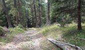 Trail Walking Crots - boucle du lac de Lauzerot via Les Gendres . cabane à Jules . clôt Besson . lac . les Gendres - Photo 11