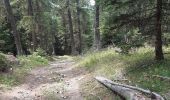 Tocht Stappen Crots - boucle du lac de Lauzerot via Les Gendres . cabane à Jules . clôt Besson . lac . les Gendres - Photo 11