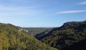 Tour Wandern Méjannes-le-Clap - Mejannes le clap par Rocher de l'Aigle - Photo 14