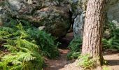 Tocht Stappen Fontainebleau - Fontainebleau sentier Denecourt Colinet 4 - Photo 10