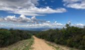 Excursión Marcha nórdica Montarnaud - Montée Boissière  - Photo 2