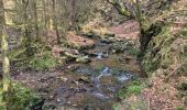 Trail Walking Waimes - Peak brune - Photo 9