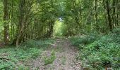 Trail Walking Noroy-sur-Ourcq - en Forêt de Retz_93_05_2022_le Bois de Cresnes - Photo 6
