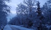 Trail Walking Spa - fagne de malchamp sous les premières neiges de 2025 - Photo 2