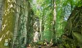 Randonnée Marche Consdorf - Consdorf - Mullerthal - Photo 12