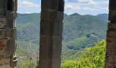 Tocht Stappen Les Plantiers - les plantiers, abbaye de Fontfouillouse  - Photo 4