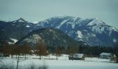 Tour Zu Fuß Strobl - Seeuferweg Strobl-Abersee - Photo 1