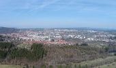 Tour Zu Fuß Ilmenau - Ilmenauer Naturpfad - Photo 8