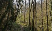 Trail Walking Yvoir - HOUX  ... par le bois du Curé et de Surinvaux. - Photo 6