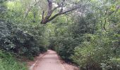 Trail Walking Valence - mon tour de valence - Photo 15
