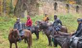 Trail Horseback riding Soucht - Speckbronn-Moulin de Ratzwiller- Speckbronn - Photo 1