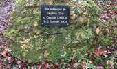Randonnée Marche Dampierre-en-Yvelines - Maison de fer - champ romeny - rue des érables  - Photo 1