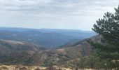 Randonnée Marche Rosis - De l’Espinouse au Caroux - Photo 2