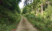 Trail Walking Étalle - chanterelle 12km wiki 202p - Photo 10