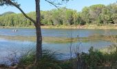 Tour Nordic Walking Le Cannet-des-Maures - voie verte la bourdrague  - Photo 1