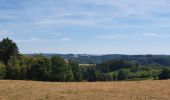 Tour Wandern Vresse-sur-Semois - rando laforêt 6/08/2020 - Photo 3