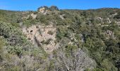 Percorso Marcia Bormes-les-Mimosas - Forêt du Dom - Photo 16