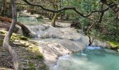Trail Walking Nans-les-Pins - De Nans les pins vers les sources de l'Huveaune - Photo 7