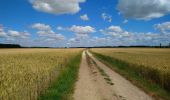 Tour Wandern Reugny - Reugny - Château de la Vallière - 13.2km 115m 3h00 - 2023 06 11 - Photo 2