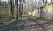 Tocht Stappen Villers-Cotterêts - Abbaye, fontaine en forêt  - Photo 14