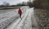 Trail Walking Ninove - Galgenveld - Photo 3