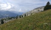 Randonnée Marche Le Grand-Bornand - Aiguille vertr, Lac de Lessy - Photo 17