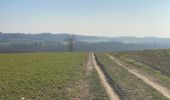 Tour Wandern Mettet - Biesmeree 25,7 - Photo 3